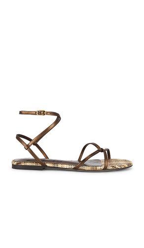 SANDALES ELLINA en , . Taille 7. Also en 7.5, 8, 8.5, 9 - Sam Edelman - Modalova
