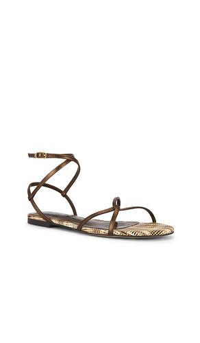 SANDALES ELLINA en , . Taille 6. Also en 7, 7.5, 8, 8.5, 9, 10 - Sam Edelman - Modalova