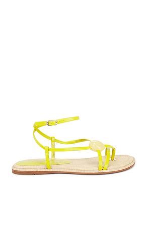 SANDALES RILLIE en . Taille 6. Also en 6.5, 7, 7.5, 8, 8.5, 9, 9.5 - Sam Edelman - Modalova