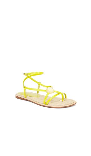 SANDALES RILLIE en . Taille 6. Also en 6.5, 7, 7.5, 8, 8.5, 9, 9.5 - Sam Edelman - Modalova