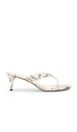 SANDALES AMIE en . Taille 10. Also en 6, 6.5, 7, 7.5, 8, 9, 9.5 - Sam Edelman - Modalova