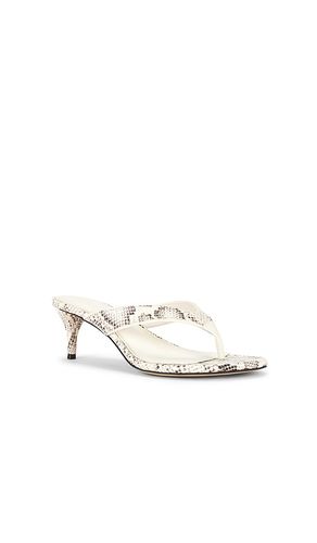 SANDALES AMIE en . Taille 10. Also en 6, 6.5, 7, 7.5, 8, 9, 9.5 - Sam Edelman - Modalova