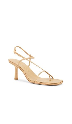 ESCARPINS CROSS FRONT 70 en . Taille 35. Also en 36, 37, 38, 39, 40, 41 - Studio Amelia - Modalova
