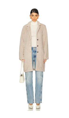 BLOUSON in . Size XL, XXL - Sanctuary - Modalova