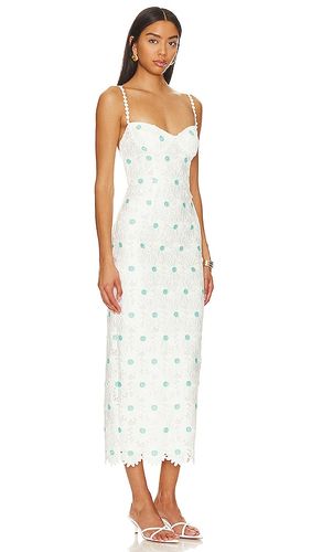 ROBE MI-LONGUE CALIBRIA en . Taille S. Also en M - SAYLOR - Modalova
