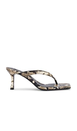 SANDALES ELVIE III en . Taille 35. Also en 38, 39, 40 - SENSO - Modalova