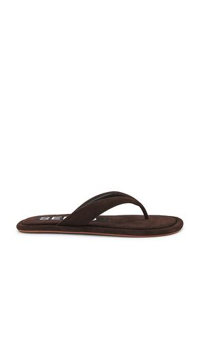 SANDALES ILLY en . Taille 36. Also en 37, 38, 39, 40, 41 - SENSO - Modalova