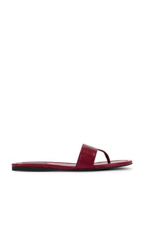 SANDALES NELLY en . Taille 37. Also en 36, 40, 41 - SENSO - Modalova