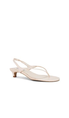 SANDALES GENESIS en . Taille 38. Also en 39 - SENSO - Modalova