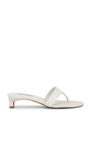 SANDALES GINTA II en . Taille 36. Also en 37, 38, 39, 41 - SENSO - Modalova