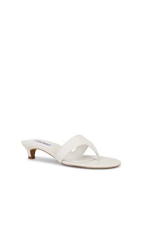 SANDALES GINTA II en . Taille 36. Also en 37, 38, 41 - SENSO - Modalova