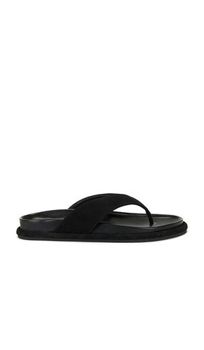 SANDALES DEVON en . Taille 36. Also en 38, 39 - SENSO - Modalova