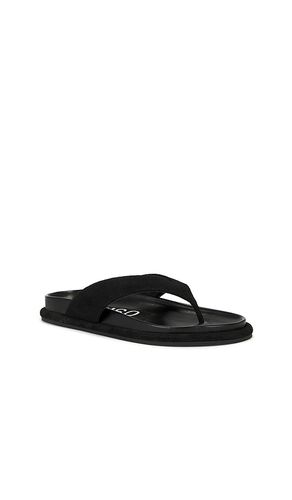 SANDALES DEVON en . Taille 36. Also en 38, 39, 40 - SENSO - Modalova