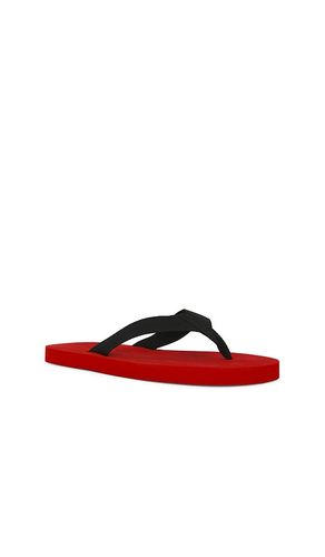 TONGS KENNY en . Taille 37. Also en 35, 36, 38, 39, 40 - SENSO - Modalova