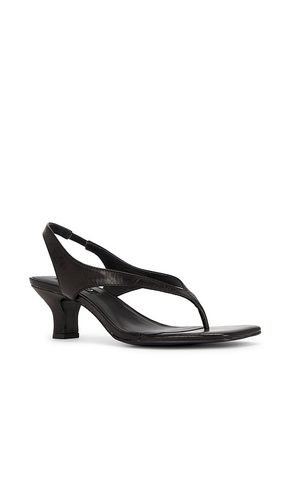 SANDALES PALLAS II en . Taille 37. Also en - SENSO - Modalova