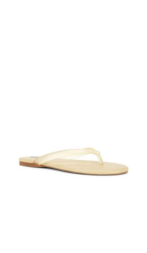 TONGS HARMONY III en . Taille 37. Also en 35, 38, 39, 40 - SENSO - Modalova
