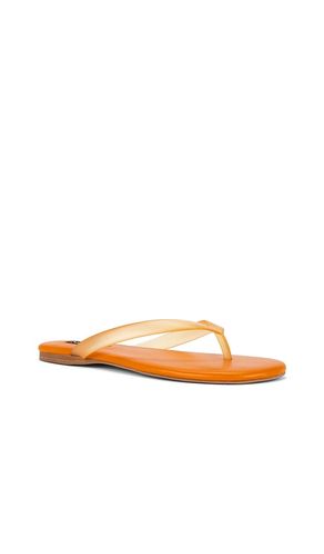 TONGS HARMONY II en . Taille 36. Also en 37, 38, 39, 40, 41 - SENSO - Modalova