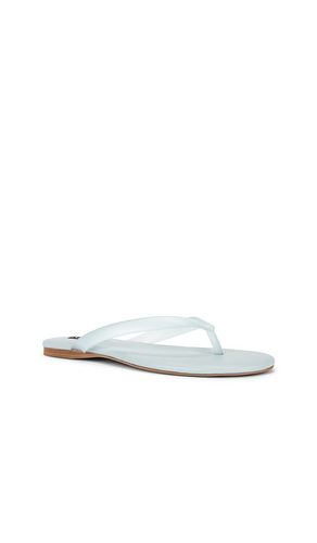 TONGS HARMONY II en . Taille 35. Also en 37, 38, 40, 41 - SENSO - Modalova