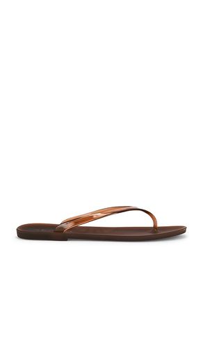 TONGS MEGAN en . Taille 39. Also en 40, 41 - SENSO - Modalova