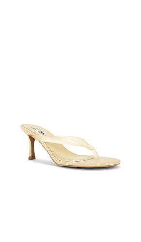 SANDALES FLOWE en . Taille 36. Also en 38, 41 - SENSO - Modalova