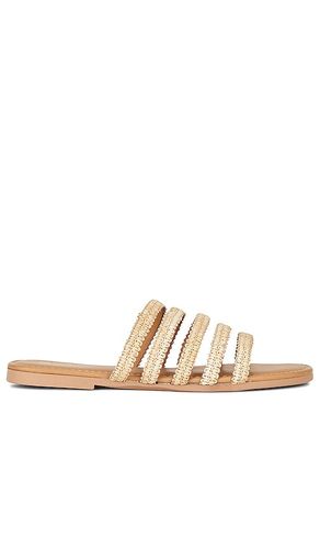 SANDALES TOPANGA in . Size 7.5, 8.5 - Seychelles - Modalova