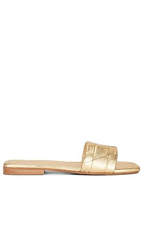 SANDALES PORTLAND in . Size 6.5 - Seychelles - Modalova