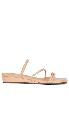 SANDALES ROCK CANDY in . Size 6, 6.5, 7.5, 8, 8.5, 9, 9.5 - Seychelles - Modalova
