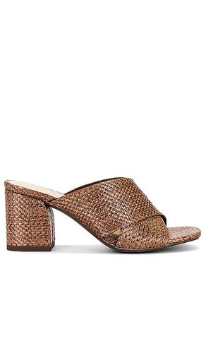 MULES PAPAYA in . Size 7, 8.5 - Seychelles - Modalova