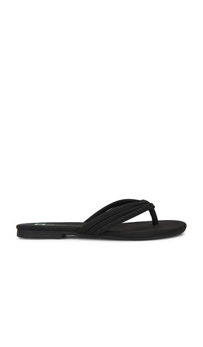 SANDALES LAGUNA in . Size 6.5, 7, 7.5, 8, 8.5, 9, 9.5, 10 - Seychelles - Modalova