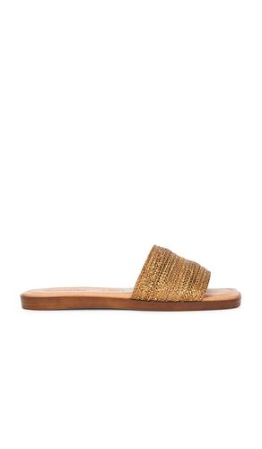 Palms Perfection Slides en . Taille 10. Also en 6, 6.5, 7, 7.5, 8, 8.5, 9.5 - Seychelles - Modalova