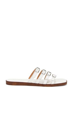 Persuasion Sandal in . Size 11, 6, 6.5, 7, 7.5, 8, 8.5, 9, 9.5 - Seychelles - Modalova