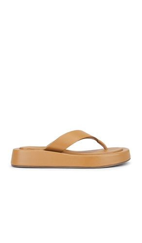 SANDALES NAUTICAL in . Size 8.5 - Seychelles - Modalova