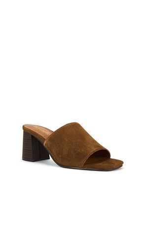 MULES ADAPT en . Taille 11. Also en 6.5, 7.5, 8, 8.5 - Seychelles - Modalova