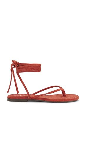 SANDALES WANDER THE WORLD en . Taille 10. Also en 8.5 - Seychelles - Modalova