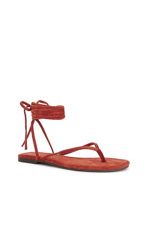 SANDALES WANDER THE WORLD en . Taille 10. Also en 8.5 - Seychelles - Modalova