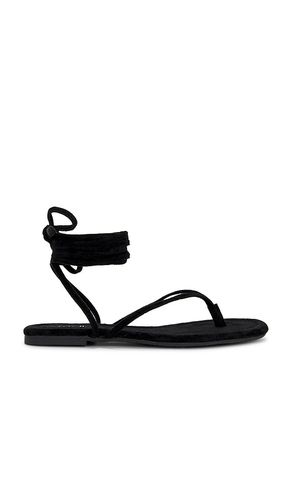 SANDALES WANDER THE WORLD en . Taille 10. Also en 6.5, 7.5 - Seychelles - Modalova