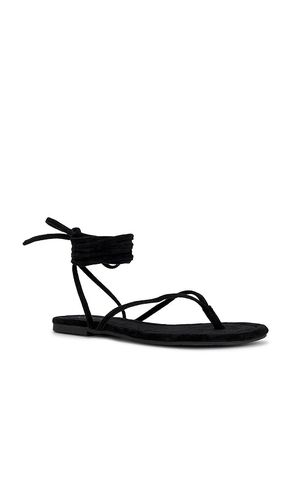 SANDALES WANDER THE WORLD en . Taille 10. Also en - Seychelles - Modalova
