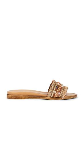 SANDALES PARADISE en . Taille 10. Also en 6.5, 8.5, 9.5 - Seychelles - Modalova