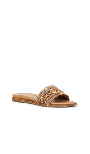 SANDALES PARADISE en . Taille 6. Also en 6.5, 8, 8.5, 9.5, 10 - Seychelles - Modalova
