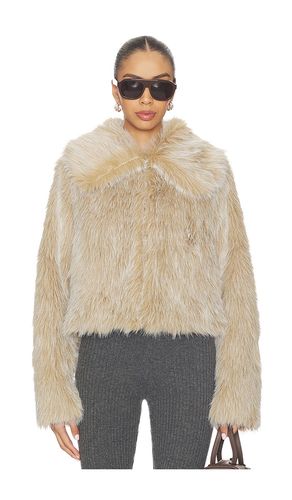BLOUSON PARK CITY en . Taille L. Also en XL, XXL - Show Me Your Mumu - Modalova