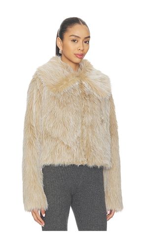 BLOUSON PARK CITY en . Taille XS. Also en L, XL, XXL - Show Me Your Mumu - Modalova
