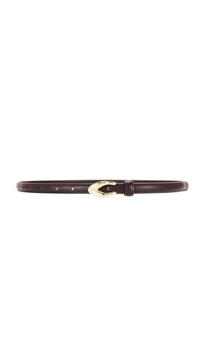 CEINTURE KIRA BUCKLE in - SHASHI - Modalova