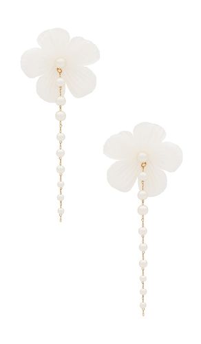 BOUCLES D'OREILLES LIAIGRE en - SHASHI - Modalova