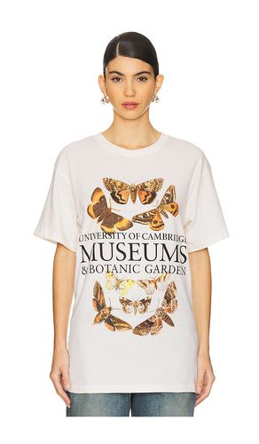 Cambridge Museums Tee in . Size M, S, XL/1X, XS - SIXTHREESEVEN - Modalova