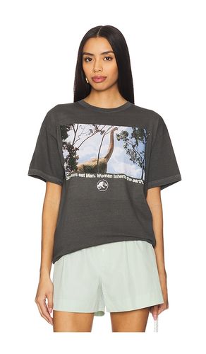 Jurassic Park Inherit Tee in . Size M, XL/1X, XS - SIXTHREESEVEN - Modalova