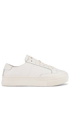 SNEAKERS IBIZA in . Size 11, 7, 8 - Soludos - Modalova