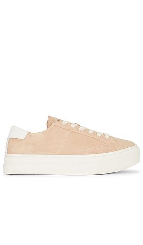 SNEAKERS IBIZA in . Size 6, 8, 9.5 - Soludos - Modalova