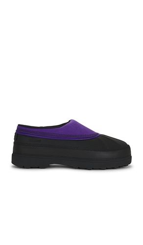 CHAUSSURES AMBLER WP en . Taille 10. Also en 11, 12, 8, 9 - Sorel - Modalova