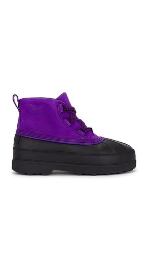 CHAUSSURES AMBLER en . Taille 8. Also en 9, 10, 11, 12 - Sorel - Modalova