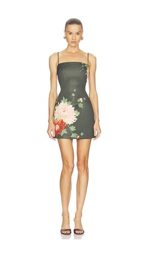 ROBE PIPER en . Taille 10. Also en 12, 4, 6 - SAU LEE - Modalova